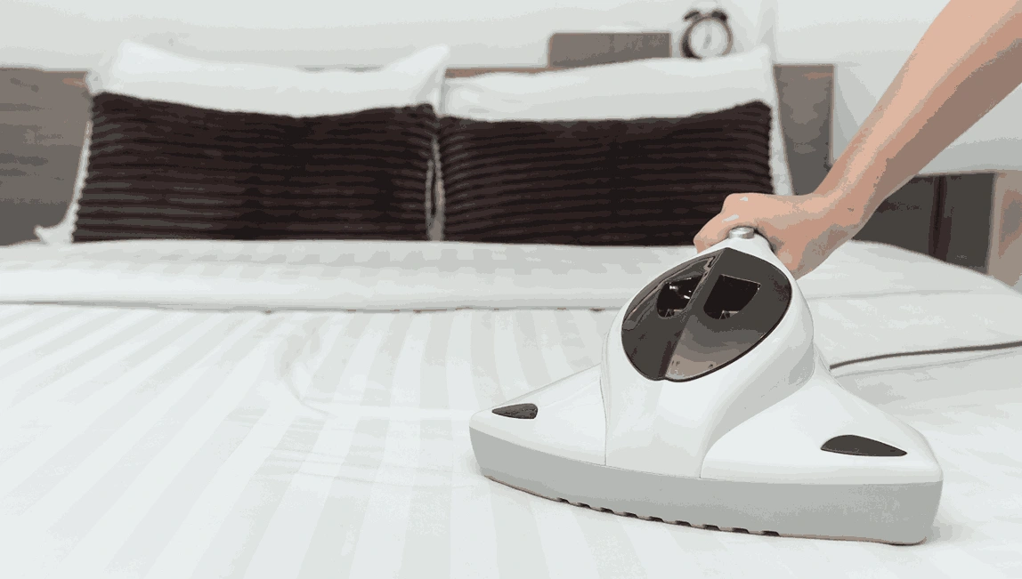 Professional Mattress Cleaning Toolern Vale